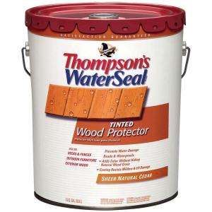 Thompsons WaterSeal 5 Gal. Natural Cedar Waterproofer Plus Tinted 