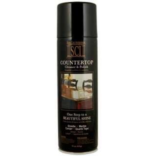 SCI Countertop Cleaner and Polish Aerosol, 16oz. 9126 at The Home 