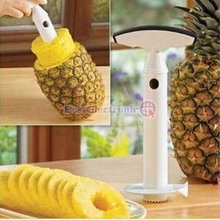 Easy Fruit Pineapple Corer Slicer Peeler Parer Cutter  
