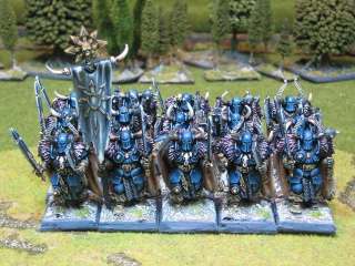 Warhammer DPS painted Chaos Warriors Rgt WC010a  