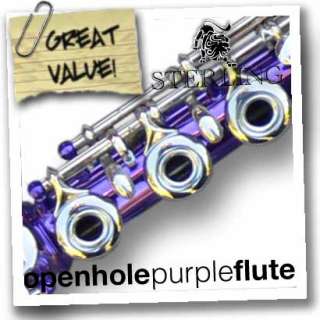STERLING Purple with Silver Keys Open Hole C Flute NEW  