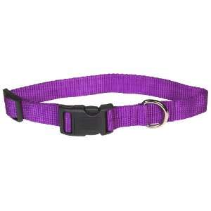    Scotts Adjustable Collar   1 x 18 26 Purple