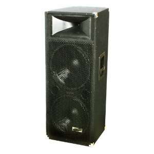   3000 Watts Max Peak Power with Amplifier and Horn Tweeter Driver