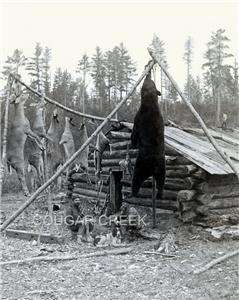 1880 TWO HUNTERS SIX WHITETAIL DEER BIG BUCK & BLACK BEAR RIFLES DOG 