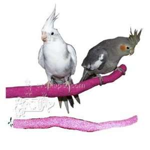  Sandy Manzanita Bird Perch Small: Pet Supplies