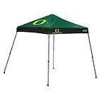   10 X 10 Canopy Tailgate Tent Shelter Coleman Straight Leg Tent