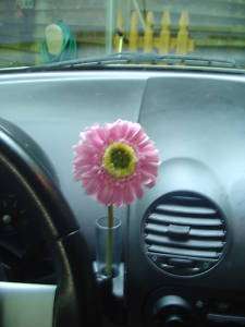 VW New Beetle PINK Silk Daisy Flower and 1 clear vase  