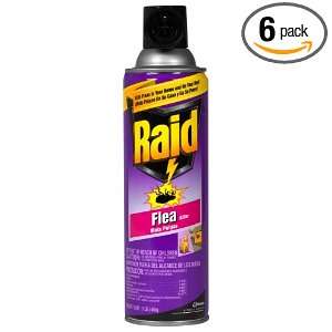  Raid Flea Killer, 16 Ounce Cans (Pack of 6) Health 