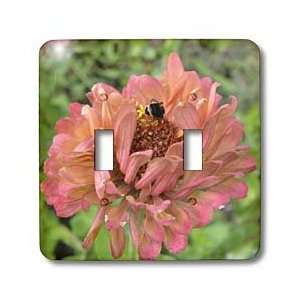 Patricia Sanders Flowers   Zinnia Day  Summer Flowers  Bees  Floral 