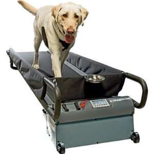  DogTread Large Dog Treadmill   With K9 Fitness Program 