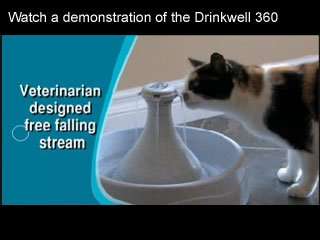  Drinkwell 360 Pet Fountain, Stainless Steel