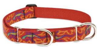 Lupine is a famous, popular brand of collars, harnesses, and leashes 