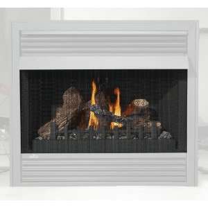  Napoleon GD 565 1KT N/A Gas Fireplace Safety Screen for 