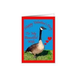  Valentines Day To Wife, Canada Goose with hearts Card 
