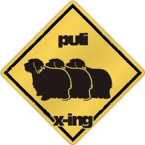  New  Puli X Ing / Xing Iii  Crossing Dog: Home & Kitchen