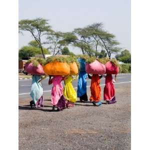 Women Carrying Loads on Road to Jodhpur, Rajasthan, India 