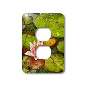  Boehm Digital Paint Flower   Pink Water Lily & Lily Pads 
