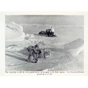  1951 Halftone Print Polar Region Eskimo Sled Dogs Canada 