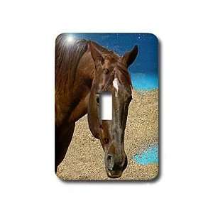 Horse   Quarter Horse   Light Switch Covers   single 