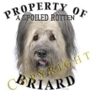  Briard Mousepad Dog Mouse Pad Property Of Kitchen 