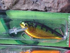 Cordell 2 1/2 RATTLIN SHAD Lure for Bass/Pike/Walleye  